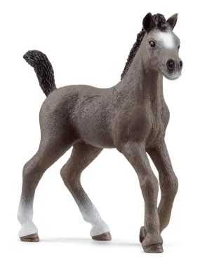 Figurine Horse Club : Poulain Selle Français - N/A