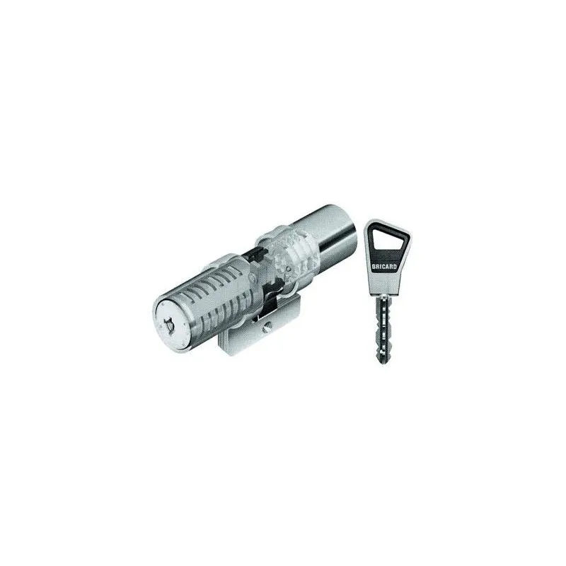 Jeu de cylindres rond SUPERSURETE sans billes - BRICARD ALLEGION