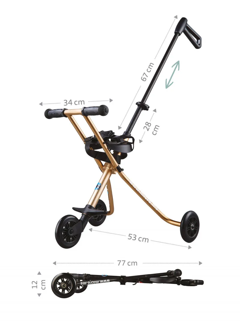 Micro Trike Gold