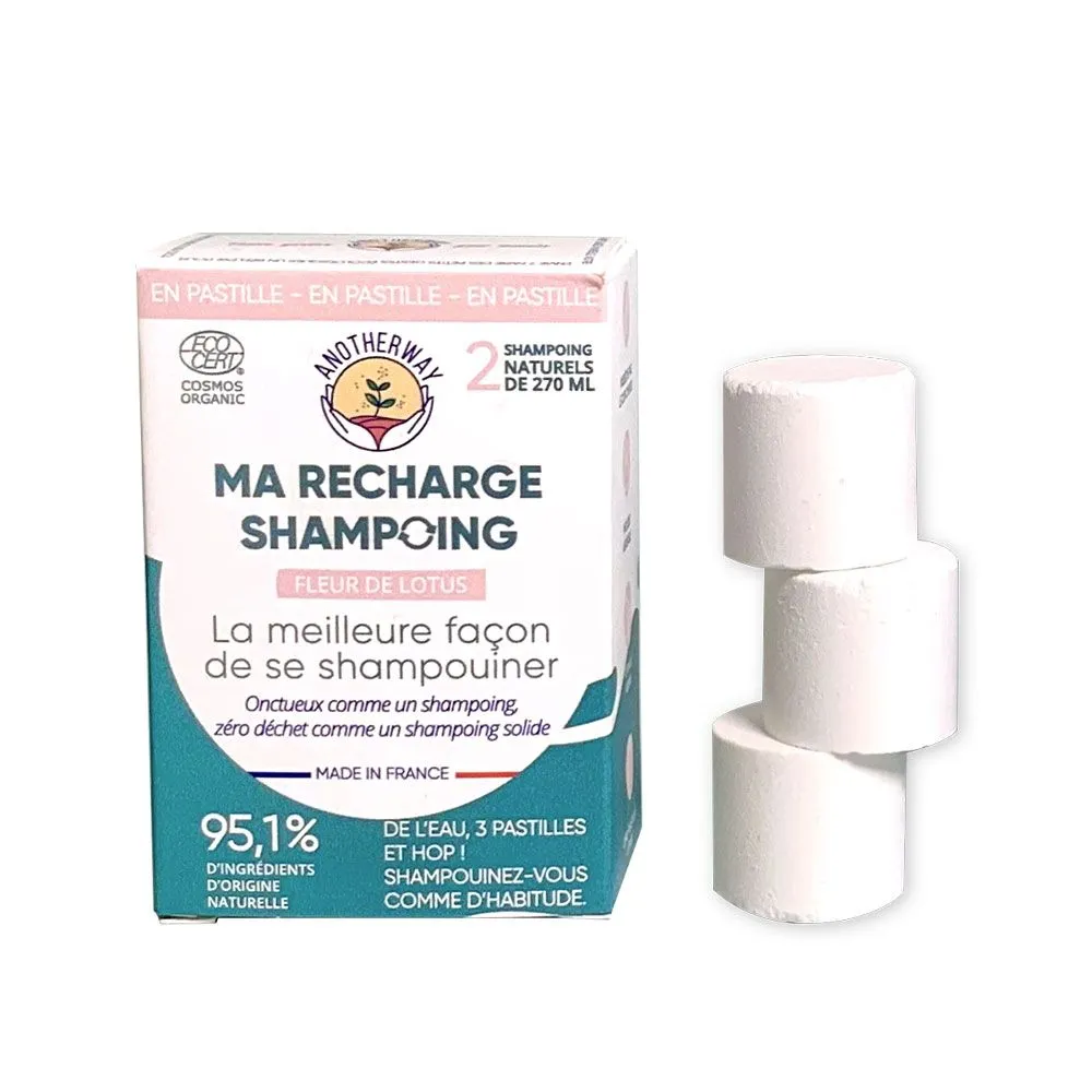 Shampoing en Pastilles 
